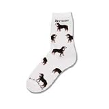 For Bare Feet Bernese Mountain Dog Poses Socks
