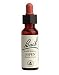 Aspen 20 ml ( Populus tremula ) Bach Flower Essences