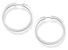 Fossil Silver Hoop Earrings