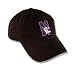 Northwestern Wildcats Fitted Hats - Franchise Relaxed