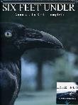 Six Feet Under - Stagione 04 (5 Dvd)