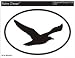 Seagull Oval Bumper Sticker