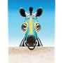 Racing Stripes