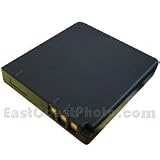 Panasonic CGA-S008 Rechargeable Replacement (1000mAh) for Panasonic Lumix FX30 digital camera