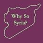 Why So Syria Funny T-Shirt - Ladies Size S
