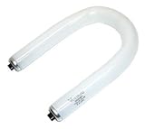 24 watt T12 Recessed Double Contact (R17d) Base General Light Bulb