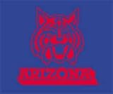 Arizona Wildcats 60 X 50 Woven High Pile Throw Blanket (Bie)
