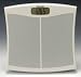 Taylor 7322 Lithium Scale