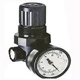 MREGULATOR MINI REGULATOR