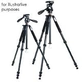 Vanguard Alta + 254CB Carbon Fiber Tripod with SBH-50 Ballead, Maximum Height 60-1/4, Supports 8.8 lbs