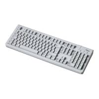 Fujitsu KB SC USB - Keyboard - USB - bright light gray - Kazakhstan