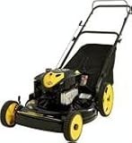 Brute Push Mower Briggs & Stratton 6.5 TP (22) #7800509
