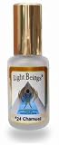 Archangel - #24 Chamuel / Scented Aura Spray (AS24)