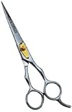 6 Inch Professional Hair Styling Shear with Adjustable Tension Screw & Fixed Finger Rest - AGS525