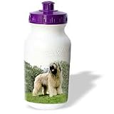 Dogs Briard - Briard - Water Bottles by 3dRose LLC