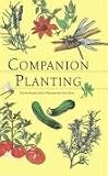 Companion Planting