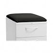 Seat Cushion for Perpetual Mobile Pedestal File