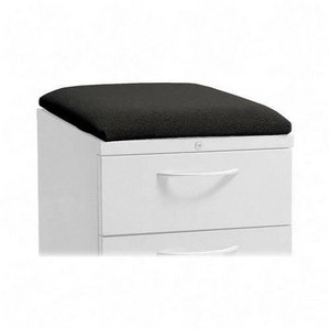 Seat Cushion for Perpetual Pedestal File