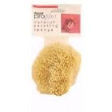 Armaly Brands 15216-7 7 Medium Texture ProPlus Natural Painting Sponge by Armaly Brands