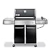 Outdoor Living : Weber 3711001 Spirit E-210 Propane Gas Grill, Black