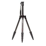 Benro C0190T Travel Flat Tripod with Carbon Fiber Twist Lock Legs