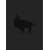 �X�L�}�X�C�b�` ARENA TOUR�f07 �gW-ARENA�h THE MOVIE [DVD]