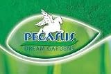 Eigenschaften Kiepenkerl - Rasen  / Rasenmischung Pegasus Schattenrasen