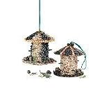  : Birding Company Edible Bird Feeder Kit