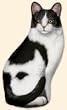 Ah Black & White Cat Doorstop &copy; Adeline Halvorson