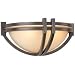 Two-Light Sconce from Destination Lighting