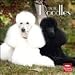 poodle0 - Poodles 2010 Wall Calendar
