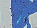 Cinelli Cork Tape Macro Splash Blue Gray