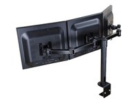 Newstar FPMA-D960D3 Schwenkarm schwarz