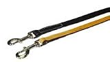 Coastal Pet Circle T Oak-Tanned Leather Dog Leash / Lead (Black, 4 ft. L x 3/4 inch W)