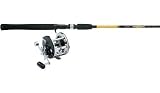Fishing: Penn Levelwind 209MLH/Cabela's DepthMaster Trolling Combo