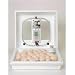 Circulated Air Egg Incubator with Fan, 17
