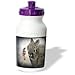 Cassie Peters Rabbits - Lionhead Bunny in a Teacup - Water Bottles