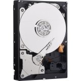 Western Digital Bare Drives 320GB WD Blue SATA III 5400 RPM 8 MB Cache Bulk/OEM Notebook Hard Drive WD3200LPVX