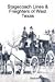 Stagecoach Lines & Freighters of West Texas at Amazon Books: 21hj0HFJ16L._SL75_