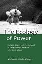 The Ecology of Power: Culture, Place and Personhood in the Southern Amazon, AD 1000-2000 (Critical Perspectives in Identity, Memory & the Built Environment)