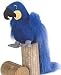 Plush Hyacinth Parrot 9