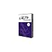 Electronics : WS_FTP PROFESSIONAL 2007 5 USER LICENSE W/SERVICE ( WS-6900-2007 )