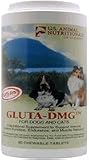 Gluta-DMG (45) for Dogs and Cats- Support Formula for Proper Immune System Function and Muscle Recovery