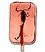 Strawberry Scorpion Sucker - Strawberry Flavored Sucker With Real Scorpion
