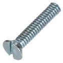 Hillman #100407 100PK 1/4-20x2 FH Screw