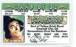 Scarecrow From Wizard of Oz License
