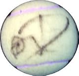 Daniela Hantuchova Autographed Tennis Ball