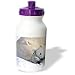 Wild animals - Polar Bear and Cub - Water Bottles
