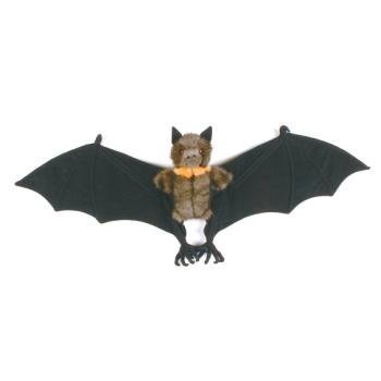 fruit bat 31 by fiesta cheap price
