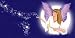 AIRBRUSHED LICENSE PLATES -FAIRY WITH MAGIC WAND- #1598